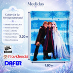 Cobertor Borrega Matrimonial 1.80x2.2m Infantil Providencia® Frozen