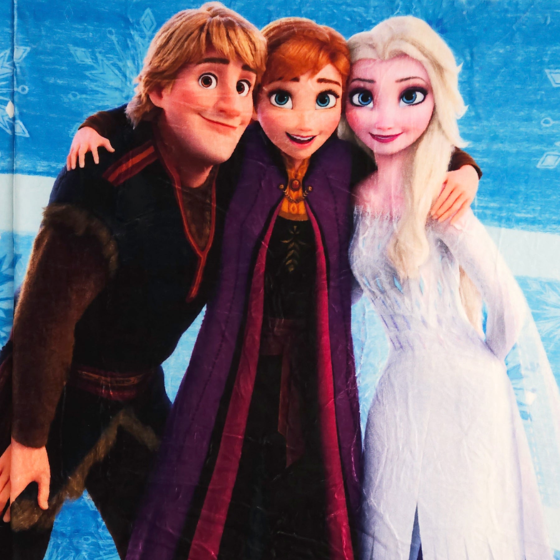 Cobertor Borrega Matrimonial 1.80x2.2m Infantil Providencia® Frozen
