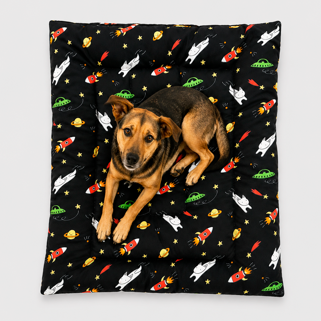 Tapete Estampado Y Acolchado Transportadora Para Mascota Space Cat