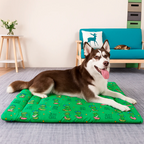 Tapete Cojín Transportadora Para Mascota DinoCool