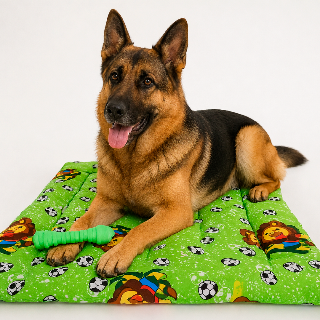 Tapete Estampado Y Acolchado Transportadora Para Mascota Leon Futbolista