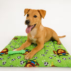 Tapete Estampado Y Acolchado Transportadora Para Mascota Leon Futbolista