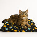 Tapete Estampado Y Acolchado Transportadora Para Mascota