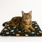 Tapete Estampado Y Acolchado Transportadora Para Mascota