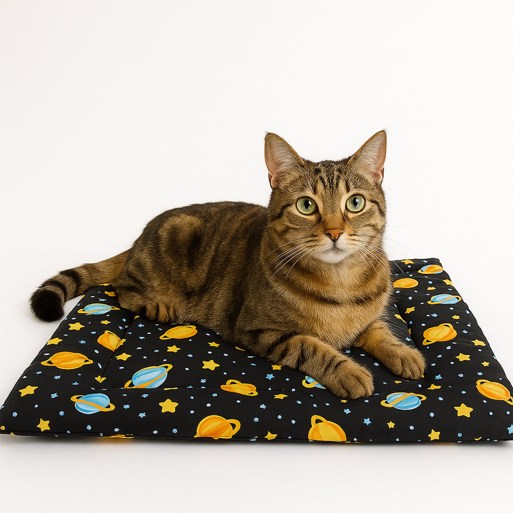 Tapete Estampado Y Acolchado Transportadora Para Mascota