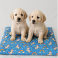 Tapete Estampado Y Acolchado Transportadora Para Mascota